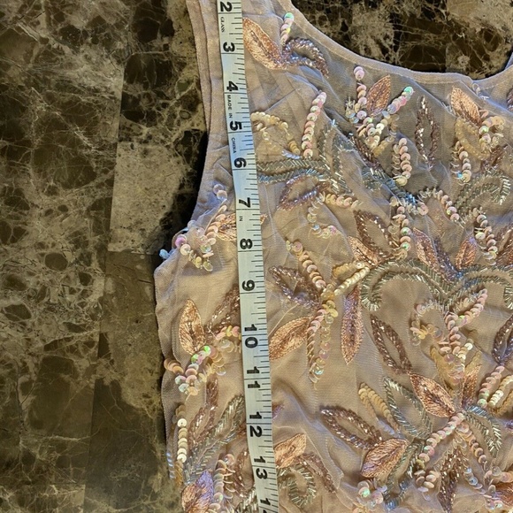 NEW Adrianna Papell Blush Pink Floral Beaded Mesh Illusion Blouson Gown  Size 4P - Picture 8 of 9